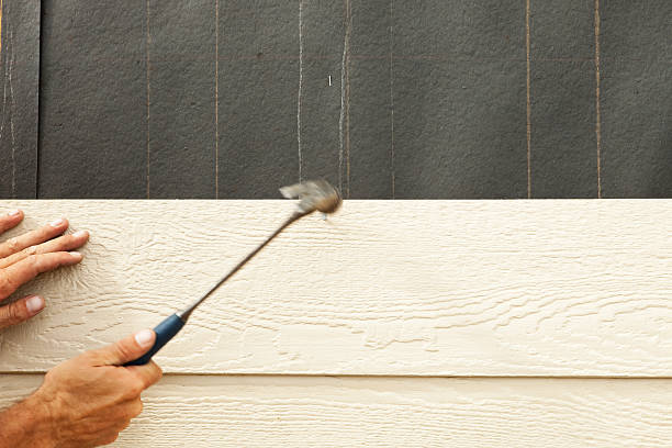 Best Siding Painting and Refinishing  in Yuma, AZ